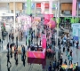 2026南京秋糖,第115届秋季全国糖酒会重点展团与知名品牌名录揭晓。